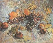 Still life with Grapes,Apples,Pear and Lemons (nn040